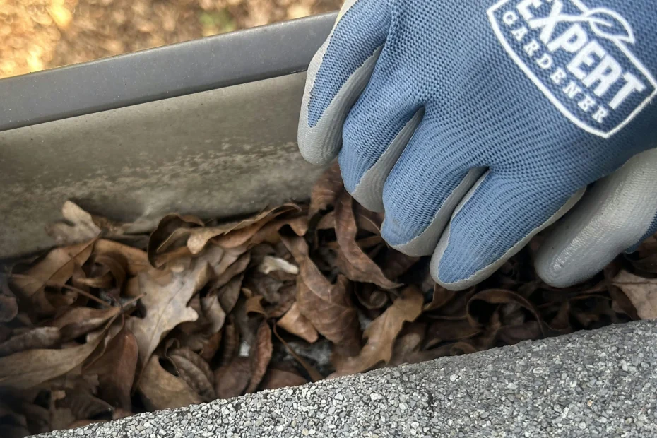 Gutter Cleaning Hampstead